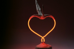 transformatie van het hart